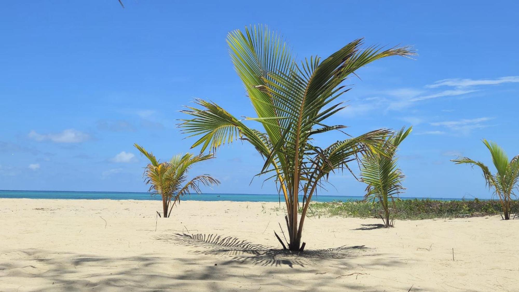 Chuiba Bay Lodge Пемба Екстер'єр фото
